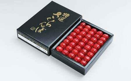 《先行予約》 さくらんぼ 佐藤錦 特秀2Lサイズ プレゼント ギフト 化粧箱入 300g 2026年産 令和8年産 山形県産 ns-snt2x300