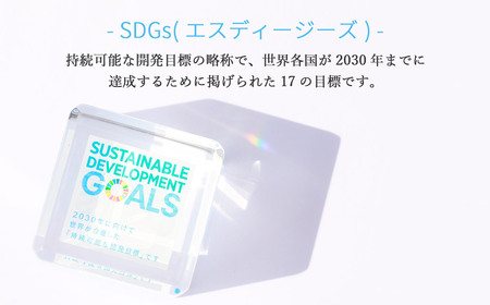 SDGs アクリルキューブセット50 キューブ（50mm） ×18個 専用スライド型ケース 専用台