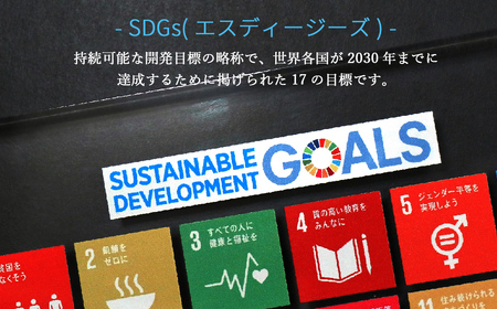 SDGs インテリア アクリル ブロック 盾 （厚さ40×幅210×高さ142mm） 高級 専用台
