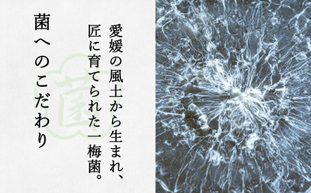 一梅酢 伝統醸造人気のお酢３本セット すし酢 ポン酢 リンゴ酢 お得 セット プロの味 国産 国内製造