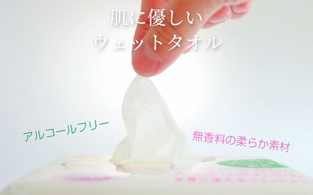 抗菌 消臭 保湿 ウェットタオル 大判（20cm×30cm）厚手 さわやかたおるちゃん（32枚入×15個） 合計480枚【SPC】