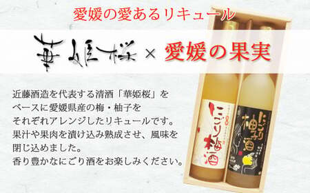 「愛あるリキュール」500ml×2種セット にごり梅酒・にごり柚子酒 愛媛県産フルーツ使用 【愛媛 近藤酒造】