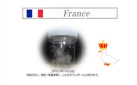 羽毛布団 シングルサイズ（B-11） フランス産 ホワイトダウン 90％ 抗菌 防臭 