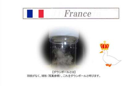 羽毛布団 掛布団 ダブル （G-08） フランス産ホワイトダウン93％ ツインキルト2層式 抗菌 防臭