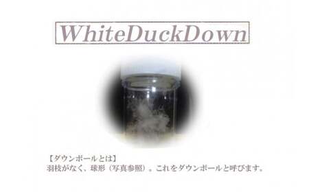 【数量限定】 在庫限り 布団 羽毛布団 シングル（H-01） ダウン 85％ 生地色柄おまかせ 抗菌 防臭 シングルサイズ 