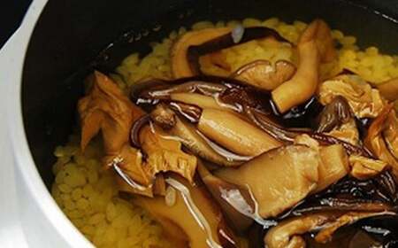 新居浜産きのこがたっぷり きのこ釜めしセット 10食揃え 追加用 釜なし（お米・きのこ釜飯の素・固形燃料）