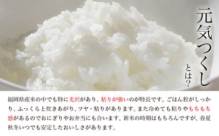 【令和7年度産】元気つくし 6kg 1袋3kg入り わだち農場《30日以内に出荷予定(土日祝除く)》福岡県 鞍手郡 鞍手町 米 コメ 元気つくし 袋 ちらし寿司 こめ