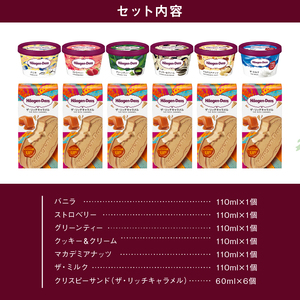 ハーゲンダッツ 『ミニカップ(6個)＆クリスピーサンド(6個)』アイスクリーム アイス_H0016-121
