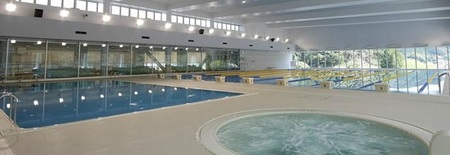 島田市総合スポーツセンター利用回数券12枚綴り（プールorトレーニング室) チケット 