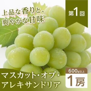 ぶどう 2026年【全3回コース】晴れの国岡山 ぶどうの定期便