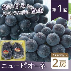 フルーツ 2026年【全4回コース】晴れの国岡山 フルーツ定期便