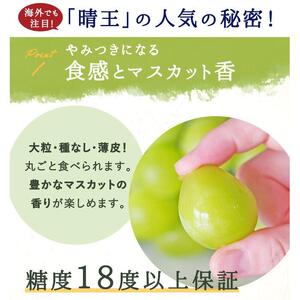 シャインマスカット『晴王』3～5房 (約2kg）｜  シャインマスカット 2026年