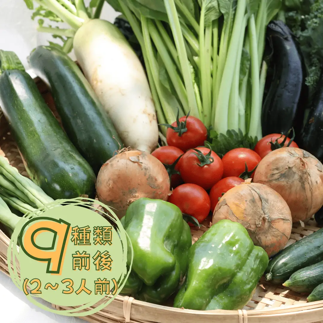 定期便3カ月　有機野菜ちいさな畑セット（Mサイズ　２～３人前）（NK-T502）
