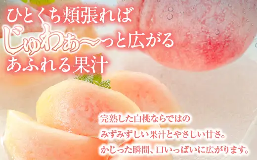 白桃 約0.75kg（3～4玉）和歌山県産 厳選 化粧箱入り ｜ 白鳳・清水白桃・川中島・もも・はくとう【化粧箱入り】 