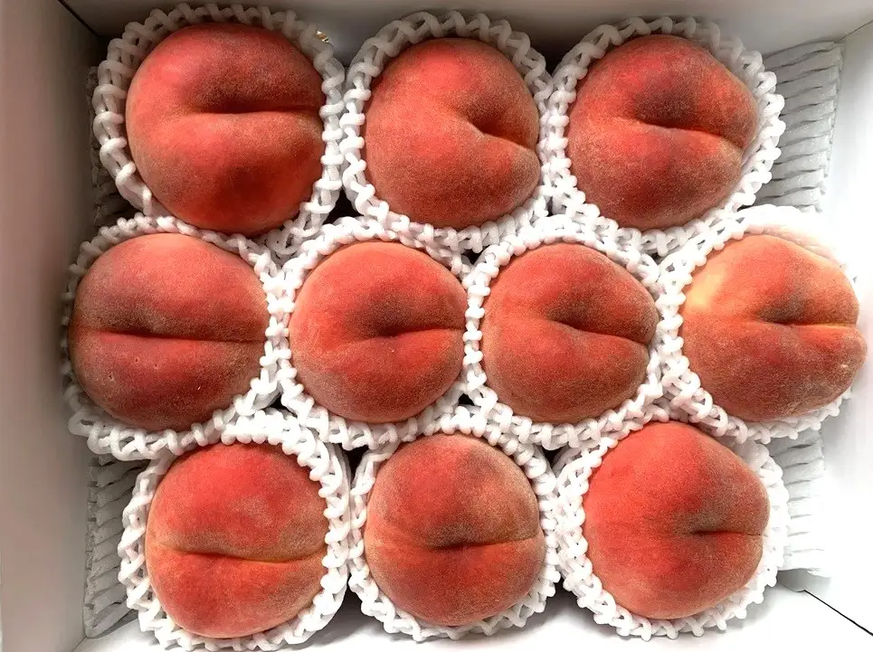 白桃（品種おまかせ）３ｋｇ　0020-2612