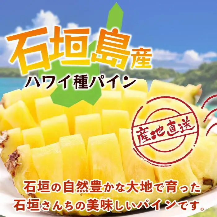 【先行予約】石垣島産 ハワイ種 パイン (6玉 約6㎏)  TP-6