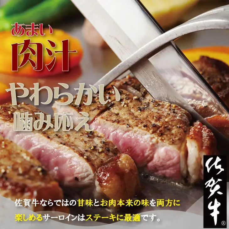  サーロイン ステーキ３枚（合計500g） ステーキ 牛肉 B190-018