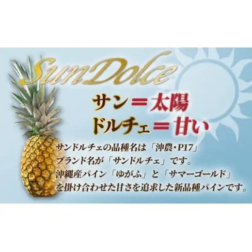 【先行予約】サンドルチェ大玉2～3個 計2.4kg 