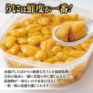 生うに 400g 冷蔵 ミョウバン不使用