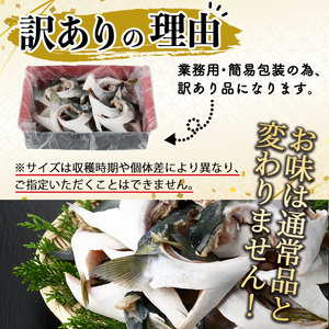 ＜訳あり＞ 無塩 ブリカマ (約3kg)大分県産 国産 ぶりかま ブリ ぶり 鰤 養殖ブリ 煮つけ 鰤かま カマ焼き 冷凍 大分県 佐伯市【ET002】【三宅水産】