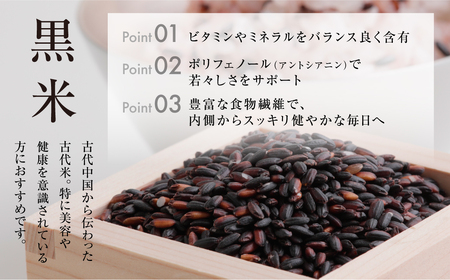 【定期便3回】黒米 400g 米 こめ ごはん 健康 古代米 岐阜県産 本巣市 お米 美容 健康 おにぎり 弁当 おいしい 旨味 ぷちぷち 和食 アグリフレンドホリグチ 3か月