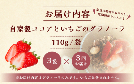 【3回定期便】【2026年2月～発送】いちごとココアのグラノーラ3袋 family農園watanabe ココア いちご 紅ほっぺ シリアル 朝食 ギフト ｜フルーツ スイーツ 苺 牛乳 デザート おやつ イチゴ 子ども 大人 人気 甘い ビター 岐阜県 本巣市 [mt294] family農園watanabe