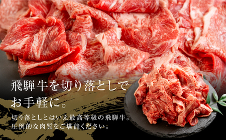 [A5等級] 飛騨牛 切り落とし 500g  [mt367] 飛騨牛 トキノ屋食品
