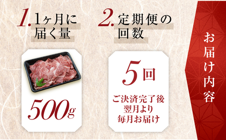 トキノ屋食品 A5等級 飛騨牛切り落とし 500g 5回お届け定期便[mt408]
