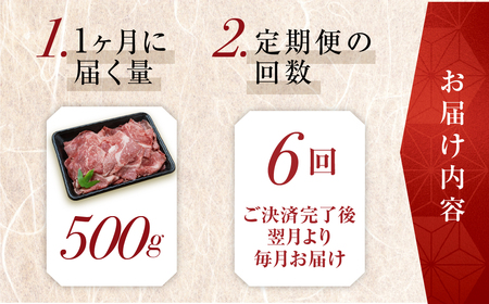 トキノ屋食品 A5等級 飛騨牛切り落とし 500g 6回お届け定期便[mt409]