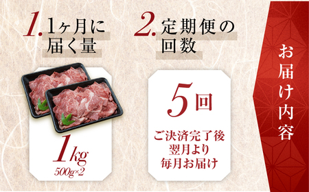 トキノ屋食品 A5等級 飛騨牛切り落とし 1kg 5回お届け定期便[mt412]
