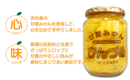 甘夏みかんびん詰め 小瓶2本セット（500g×2本セット）静岡 浜松市 