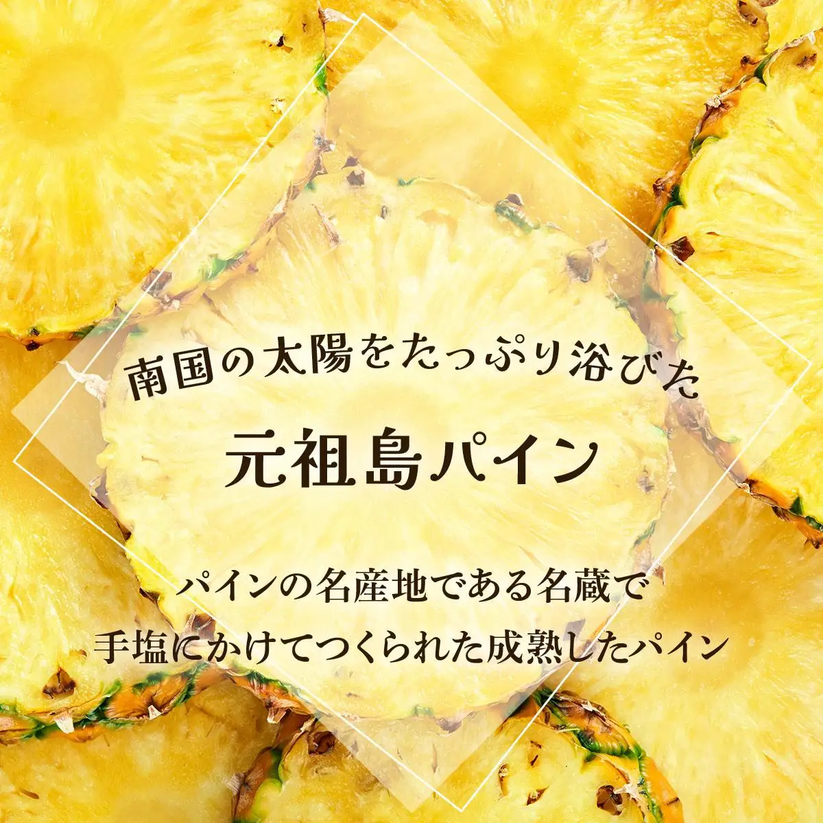 夏実パイン 大玉3個 計3.9kg