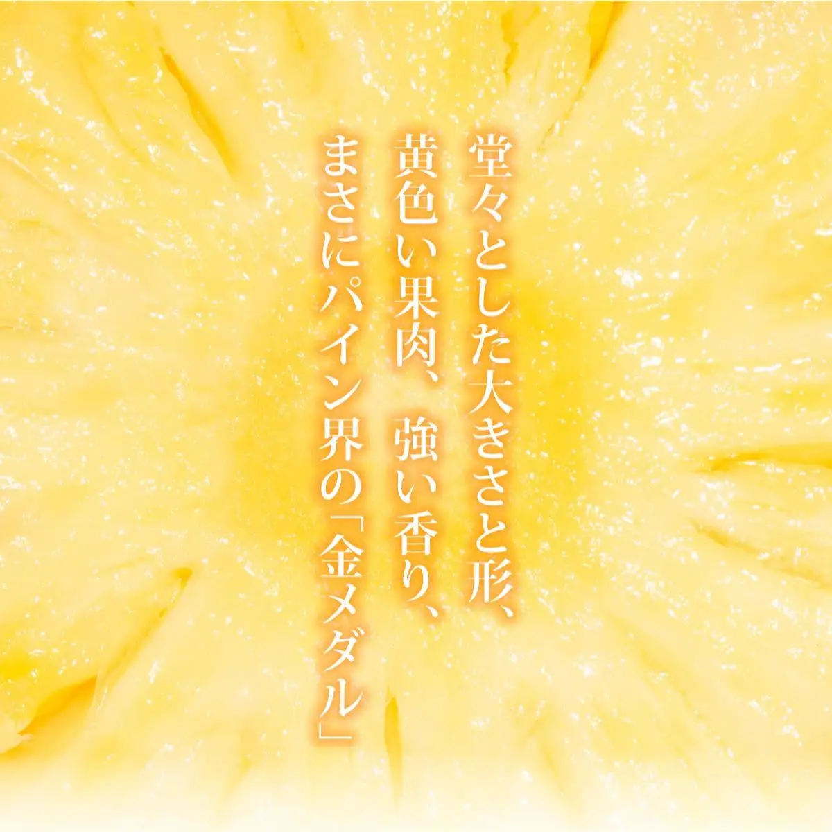 ＜先行予約＞ 石垣島産 黄金パイン 大玉 3玉 約4.5kg