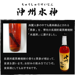 沖州水神 （ ちゅうしゅうすいじん ) C038-001 酒 アルコール 焼酎 黒糖焼酎