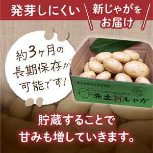 【 2026年 先行予約 】 沖永良部 の赤土で育った 新ジャガイモ 10kg （ シンシア ） 2～4月 お届け C054-002-02 野菜 じゃがいも 芋
