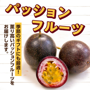 【 2026年 先行予約 】 竹マンゴーファーム パッションフルーツ （ 12個入り ） C039-001 果物 フルーツ