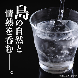 奄美 天下一 30度 1800ml 2本 C047-018-02 酒 アルコール 焼酎 黒糖焼酎