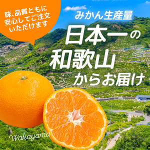 家庭用 有田 みかん サイズ混合(2S～2L) 5kg+250g ※11月発送(完熟) / 温州みかん 有田みかん 訳あり 甘い 光センサー選果 果物 柑橘 和歌山 ※北海道・沖縄・離島への配送不可 【ikd004-cm-5-novC】 