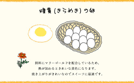 3ヶ月定期便 たまごやとよまる 煌黄20個 SMAS004 千葉県 山武市 卵 たまご タマゴ