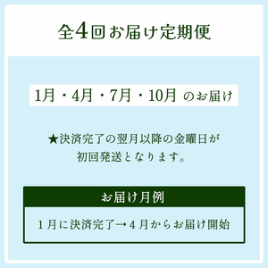 【 定期便４回 】 みらい乃野菜 はんなりレタス 12袋（720g）×4回 ： レタス 水耕栽培レタス