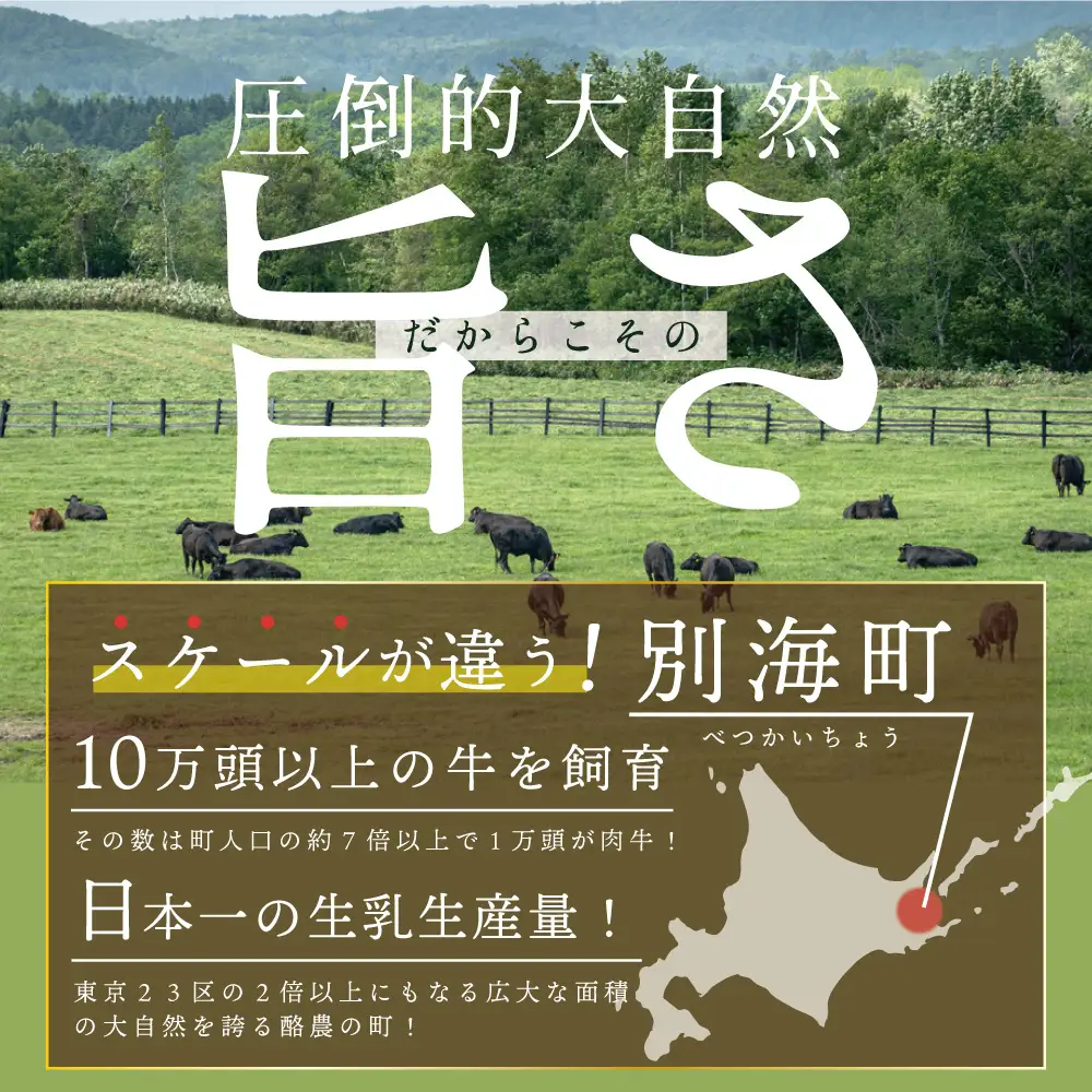別海牛味付け焼肉計1.2kg（特製味噌だれ・スライスカット）FF000FD01 北海道 肉 別海町