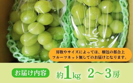 【2026年産】シャインマスカット 信州上田産 2房～3房 約1kg ぶどう 葡萄 ブドウ マスカット 1kg 果物 くだもの フルーツ デザート 旬の果物 旬のフルーツ 長野県 長野