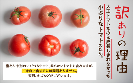 【2026年10月～発送】大容量 トマト 2kg 訳あり トマト ポットファクトリー