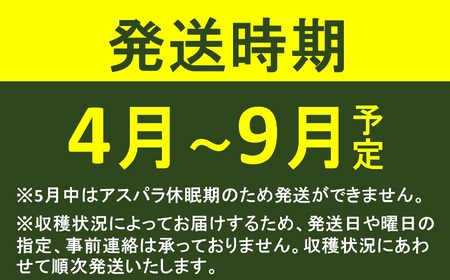 【数量・期間限定】やたらうんめぇ アスパラガス 1kg M～2Lサイズ混合 水田環境鑑定士在籍[Y0014]
