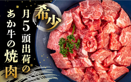 長崎和牛 あか牛 焼肉用 1kg (500g×2) 対馬 牛 和牛 焼肉 冷凍配送 あか牛 赤身肉 赤身 ローストビーフ 牛肉 和牛 肉ギフト ギフト 肉料理 年末年始 パーティー クリスマス ディナー おつまみ BBQ バーベキュー 豪華 贅沢 家族 [WCR004]