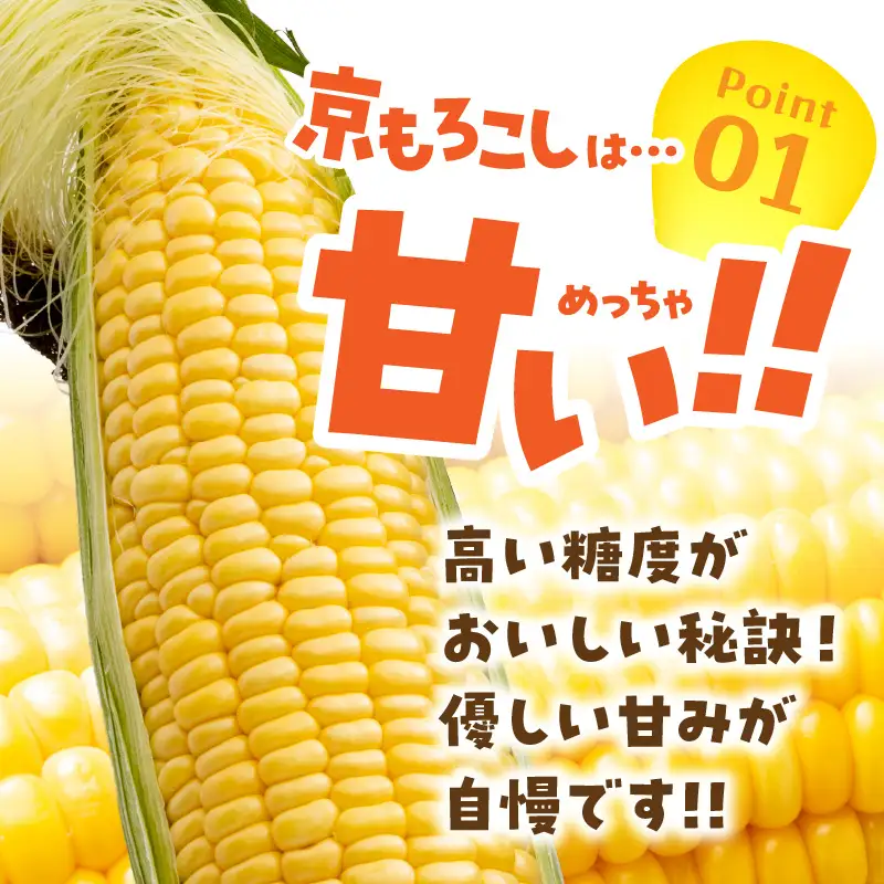 ＜てんとうむしばたけ＞有機とうもろこし5本
