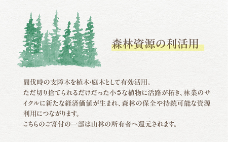 飛騨の山採り樹木で庭造り 庭施工 サービス 庭 造園  [Q2303]