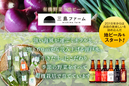 朝採り新鮮！有機野菜セット詰合せ（7～9種類） 採れたて 産地直送 葉物 有機JAS認証 野菜セット 旬の野菜 野菜 【139_1918】