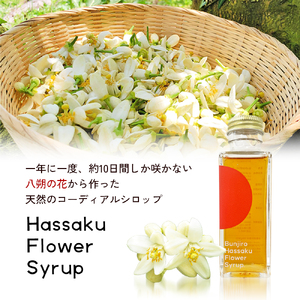 【 小豆島 】文次郎農園 はっさくの花シロップ1本 八朔 はっさく コーディアル シロップ 飲料 柑橘 香川 香川県 土庄 土庄町