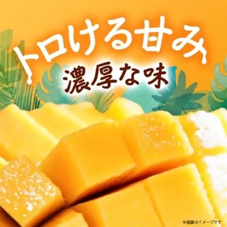 【2026年8月から順次発送・訳あり】JAおきなわ厳選!沖縄県産キーツマンゴー2kg(2～3玉)【配送不可地域：離島】【1494452】